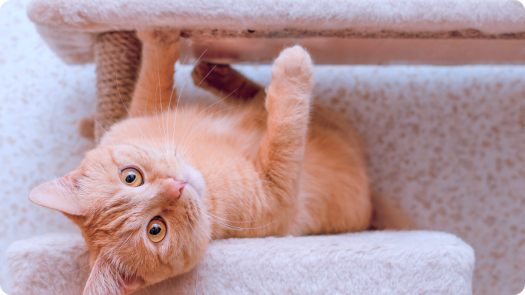 我們的關係,不需要被誰理解